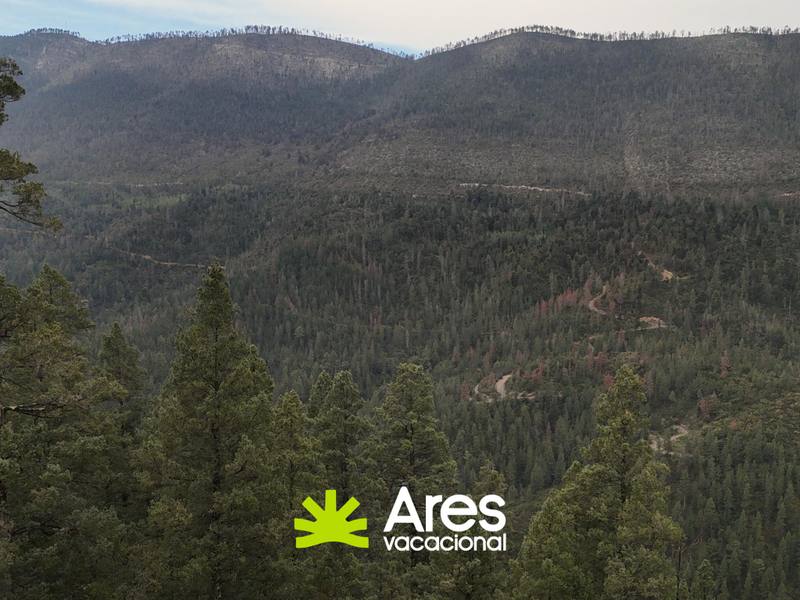 Terreno en venta en Monterreal 4