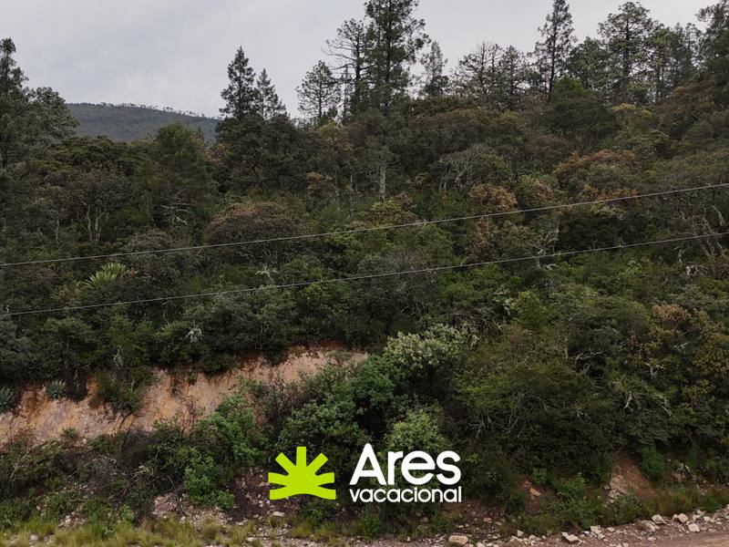Terreno en venta en Monterreal 2